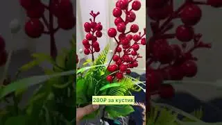 Ветки ягод , папоротника , эвкалипта . 