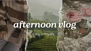 Afternoon Vlog - 08/05/23