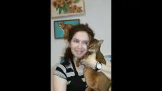 Кошки. Декоративные собачки. Часть 1