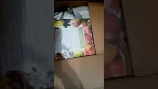 Отзыв Агромаркет (Відгук) Розы, хоста