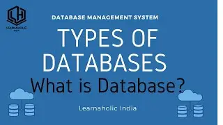 What are the different types of databases in DBMS?