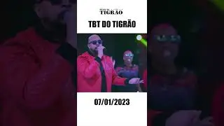 Um tbt muito especial, olha a energia essa plateia! É o bonde do tigrão 🐯 