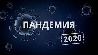 Пандемия 2020. Выпуск от 25.04.2020 г.