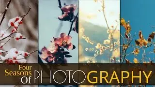 Photography Tips: Four Seasons of Photography