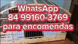 VOADOR PRONTO ESSA COR FICOU LINDA!