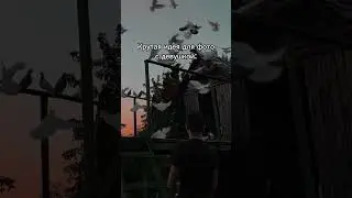 1 топка фот