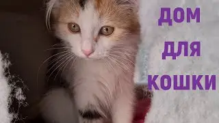 Делаем сами . Дом для кошки.