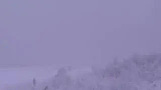Самолёт развалился пополам при посадке