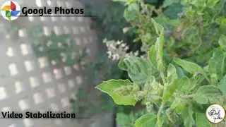 How to Stabilize Video With Mobile | No Gimbal | #DAILYQUATES |