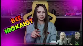 МОДЕСТАЛ СМОТРЯТ ТИВИЧ ВТФ / №1