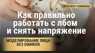 Моделирование лица Фрагмент семинара Алгоритм Молодости