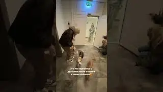 Вы так же спешите быстрее домой  ради этого момента?😍