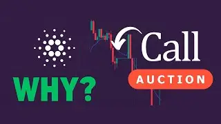 Why ADA has changed it price pattern February 2024 