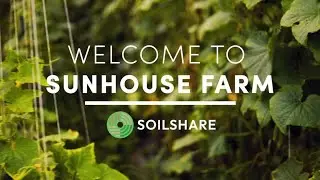 Soil Amendments at Sunhouse Farm
