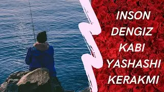 Dengiz kabi yashash kerakmi audio hikoya ibratli videolar saodat asri аудио кутубхона
