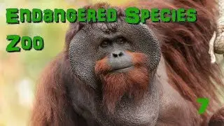 Endangered Species Zoo | Part 7: Primate House - Zoo Tycoon 2