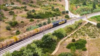 Locomotiva MEDWAY 5035 comboio de MADEIRA