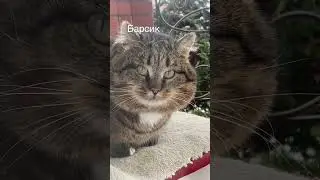 СТИХ из комментариев 