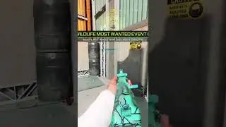 COD: The Vanishing Act.