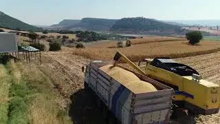 Misir Hasat zamani Kisake 2024   4K