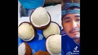 คุณเคยกินจาวมะพร้าวไหมไปกินกัน