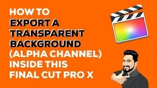 How To Export A Transparent Background (Alpha Channel) out of 