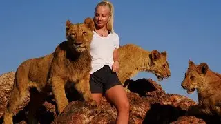 Cute Baby Lions Growing Up