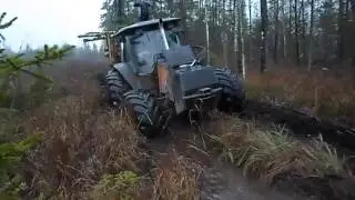 Valtra в лесу.