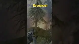 Days Gone Полёт над верхушками деревьев