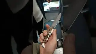 Необычный нож на выставке 