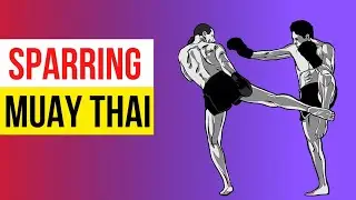 Treino de Muaythai - Sparring Técnico
