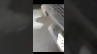 Смотрите че мы нашли мы думали