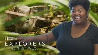 Rodent Roommates | Explorers in the Field