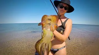 THE HUNT - EP 9 CATCHING SQUID (FINDING SQUID, TROLLING, CASTING, SQUID JIGS + CATCH AND COOK)