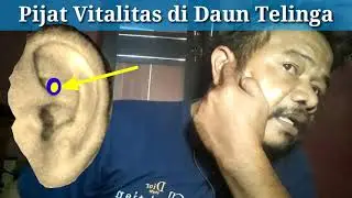 Pijat Pitalitas di Daun Telinga || Titik refleksi vitalitas di daun telinga