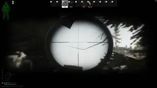 Rogue on Lighthouse EscapeFromTarkov Bug
