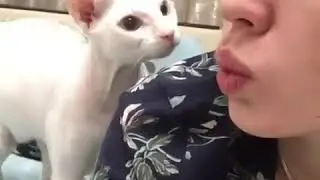 Дик туьйхир и т1ар.