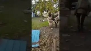 ‼️🇷🇺Зона СВО