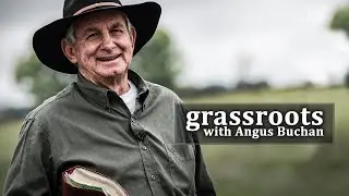 Grassroots Trailer