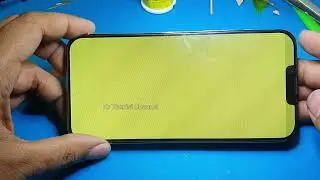 iPhone 13 pro max LCD green screen