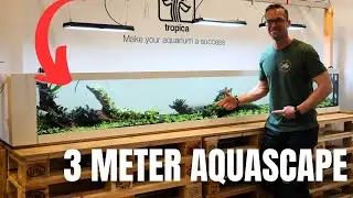 BRAND NEW XXL DISPLAY TANKS AT TROPICA HEADQUARTERS  w/ @GeorgeFarmerStudios
