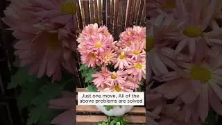 Handle all tree problems  #gardening #agriculture #farming