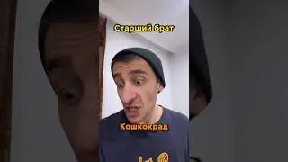 КОШКОКРАД 🐈😨😱 