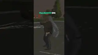 Накопили на мечту // Родина РП