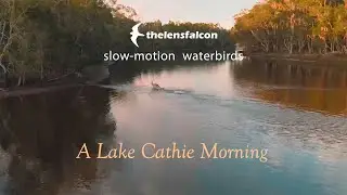 A Lake Cathie Morning