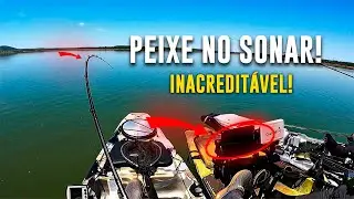 Tucunaré no sonar livescope ao vivo! Três Marias