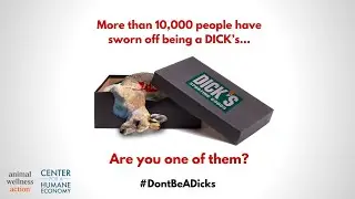 Why are they STILL being a DICK'S?!?!