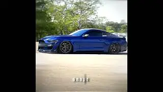 MONSTER 👹  