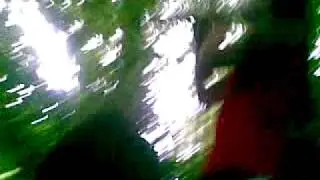 Kaindorf Probe  Im wald