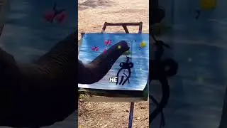 #lovely #animals #animalhumor #fyp #foryou #shortvideo #shorts #fyp